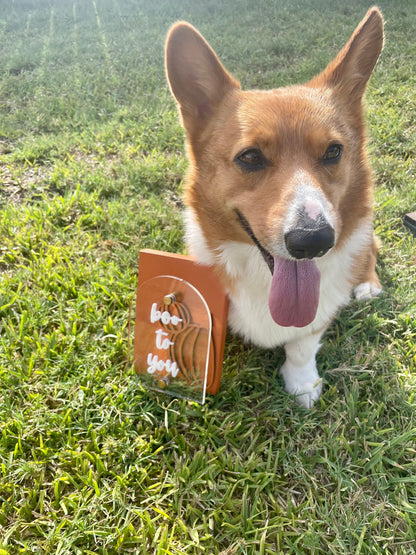 Corgi dog with a wooden toy on grass